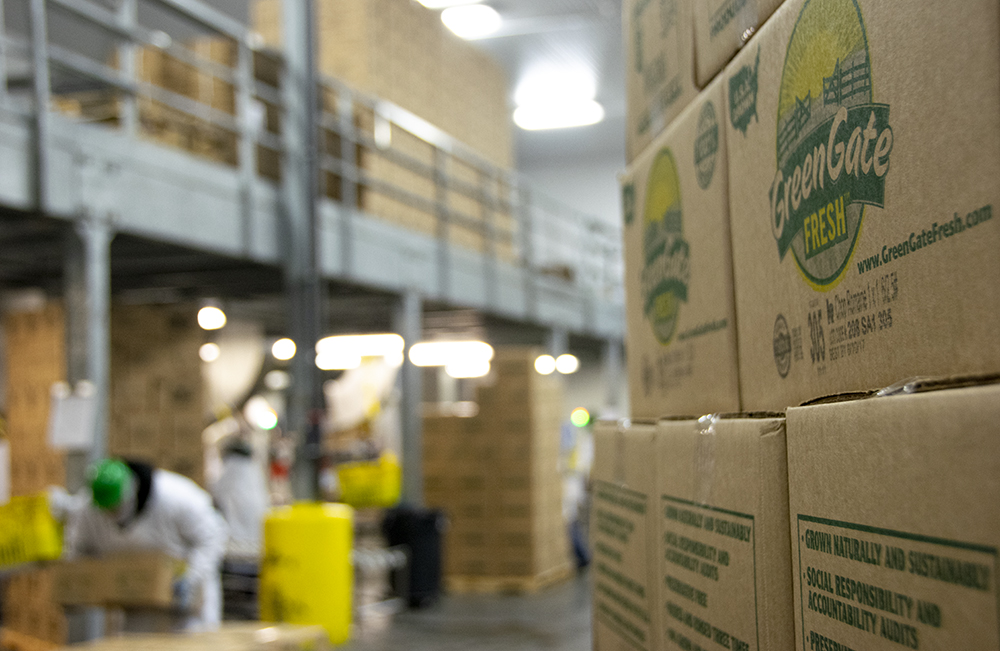 Innovation, Teamwork, and Logistics: Interview with GreenGate’s John Temple
